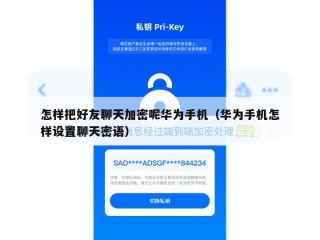 怎样把好友聊天加密呢华为手机（华为手机怎样设置聊天密语）