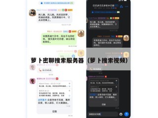 萝卜密聊搜索服务器（萝卜搜索视频）