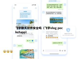 飞宇聊天软件安全吗（飞宇vlog pocketapp）