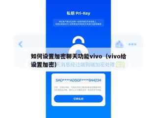 如何设置加密聊天功能vivo（vivo给设置加密）