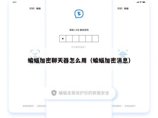 蝙蝠加密聊天器怎么用（蝙蝠加密消息）