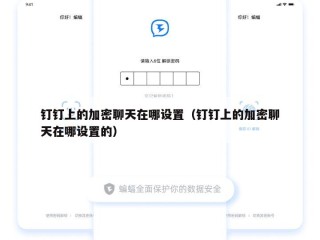 钉钉上的加密聊天在哪设置（钉钉上的加密聊天在哪设置的）
