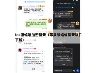 Ios版蝙蝠加密聊天（苹果版蝙蝠聊天软件下载）