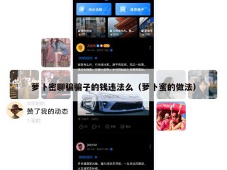 萝卜密聊骗骗子的钱违法么（萝卜蜜的做法）