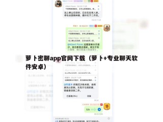 萝卜密聊app官网下载（萝卜+专业聊天软件安卓）