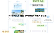 ios聊天文字加密（苹果聊天字体大小设置）
