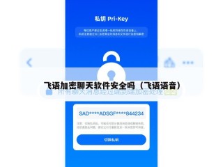 飞语加密聊天软件安全吗（飞语语音）