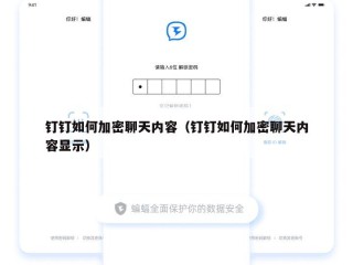 钉钉如何加密聊天内容（钉钉如何加密聊天内容显示）
