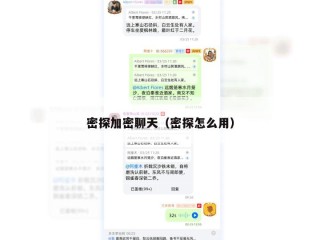 密探加密聊天（密探怎么用）