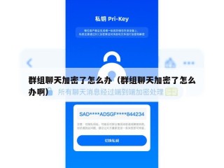 群组聊天加密了怎么办（群组聊天加密了怎么办啊）