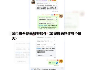 国内安全聊天加密软件（加密聊天软件哪个最火）