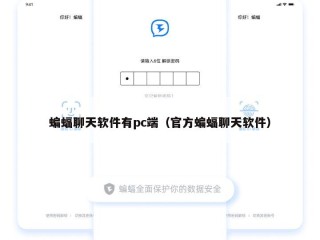 蝙蝠聊天软件有pc端（官方蝙蝠聊天软件）