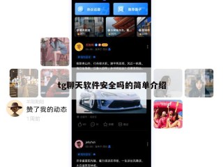 tg聊天软件安全吗的简单介绍
