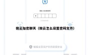 微云加密聊天（微云怎么设置密码文件）