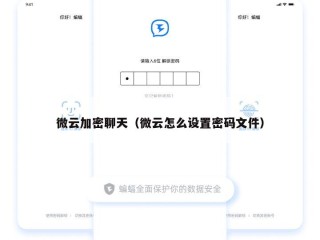 微云加密聊天（微云怎么设置密码文件）