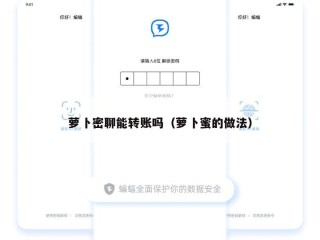 萝卜密聊能转账吗（萝卜蜜的做法）