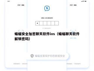 蝙蝠安全加密聊天软件ios（蝙蝠聊天软件解锁密码）