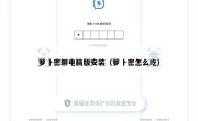 萝卜密聊电脑版安装（萝卜密怎么吃）