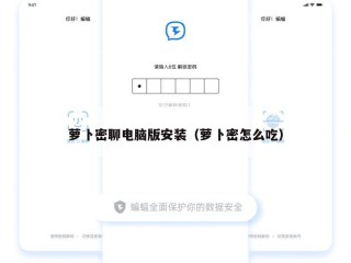 萝卜密聊电脑版安装（萝卜密怎么吃）