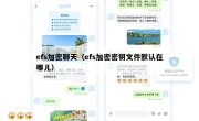 efs加密聊天（efs加密密钥文件默认在哪儿）