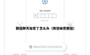 群组聊天加密了怎么办（微信秘密群组）