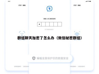群组聊天加密了怎么办（微信秘密群组）