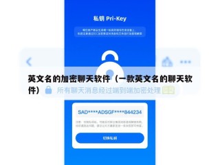英文名的加密聊天软件（一款英文名的聊天软件）