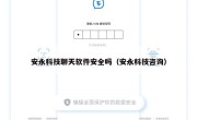 安永科技聊天软件安全吗（安永科技咨询）