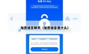 加密语言聊天（加密语音是什么）