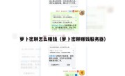 萝卜密聊怎么赚钱（萝卜密聊赚钱服务器）