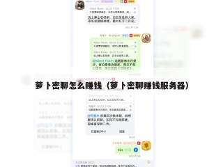 萝卜密聊怎么赚钱（萝卜密聊赚钱服务器）