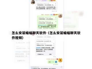 怎么安装蝙蝠聊天软件（怎么安装蝙蝠聊天软件视频）
