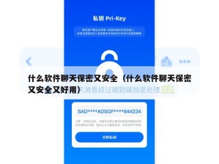 什么软件聊天保密又安全（什么软件聊天保密又安全又好用）
