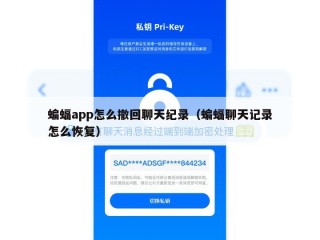 蝙蝠app怎么撤回聊天纪录（蝙蝠聊天记录怎么恢复）