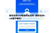 聊天软件soul收费吗安全吗（聊天软件soul是干嘛的）