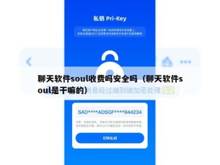 聊天软件soul收费吗安全吗（聊天软件soul是干嘛的）