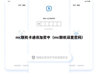 mc联机卡通讯加密中（mc联机设置密码）