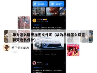 华为怎么聊天加密文件呢（华为手机怎么设置聊天隐私保护）