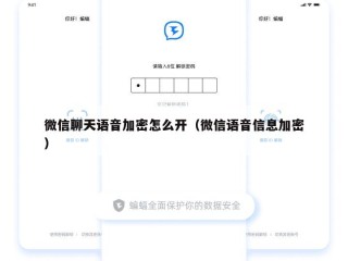 微信聊天语音加密怎么开（微信语音信息加密）