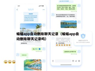 蝙蝠app自动删除聊天记录（蝙蝠app自动删除聊天记录吗）