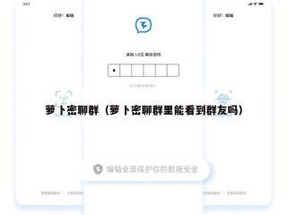 萝卜密聊群（萝卜密聊群里能看到群友吗）
