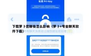 下载萝卜密聊有怎么影响（萝卜+专业聊天软件下载）