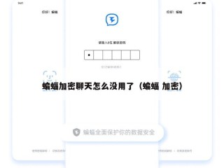 蝙蝠加密聊天怎么没用了（蝙蝠 加密）