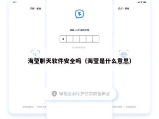 海莹聊天软件安全吗（海莹是什么意思）