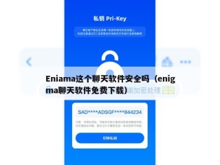 Eniama这个聊天软件安全吗（enigma聊天软件免费下载）