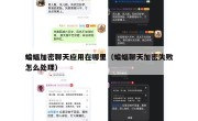 蝙蝠加密聊天应用在哪里（蝙蝠聊天加密失败怎么处理）