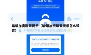 蝙蝠加密聊天提示（蝙蝠加密聊天提示怎么设置）