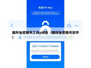 国外加密聊天工具p绿色（国际加密聊天软件）