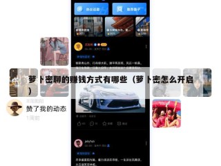 萝卜密聊的赚钱方式有哪些（萝卜密怎么开启）