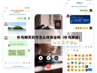 朴鸟聊天软件怎么样安全吗（朴鸟神器）